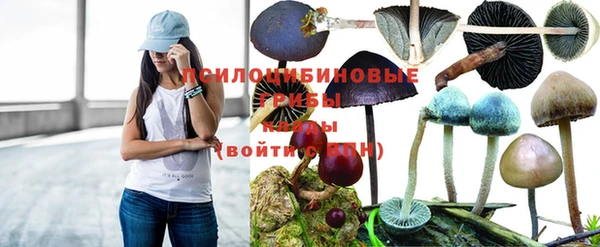 кристаллы Алексин