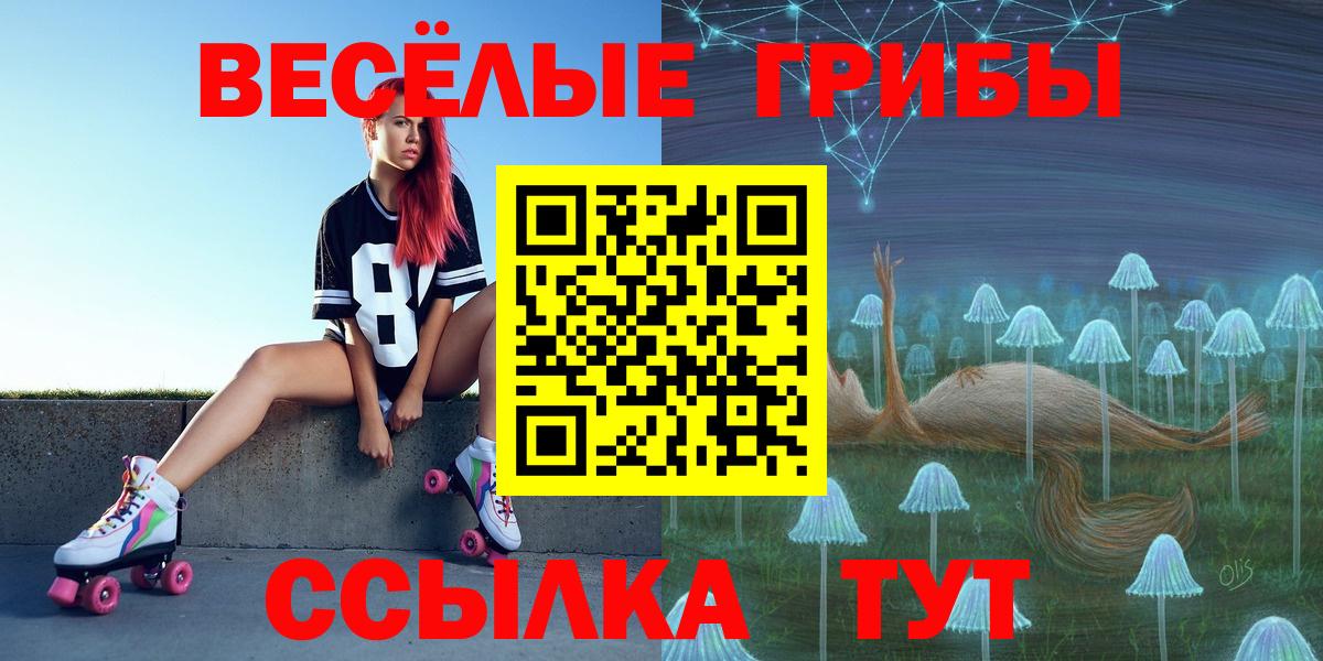 Псилоцибиновые грибы GOLDEN TEACHER  Вход с VPN  Псилоцибиновые грибы Magic Shrooms  Сатка 