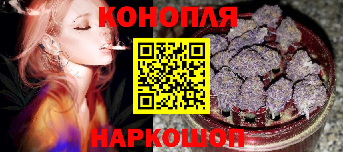 Бошки Шишки планчик  Конопля OG Kush  Сатка  Вход с VPN 